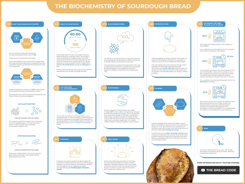 Biochemistry of Sourdough Bread download