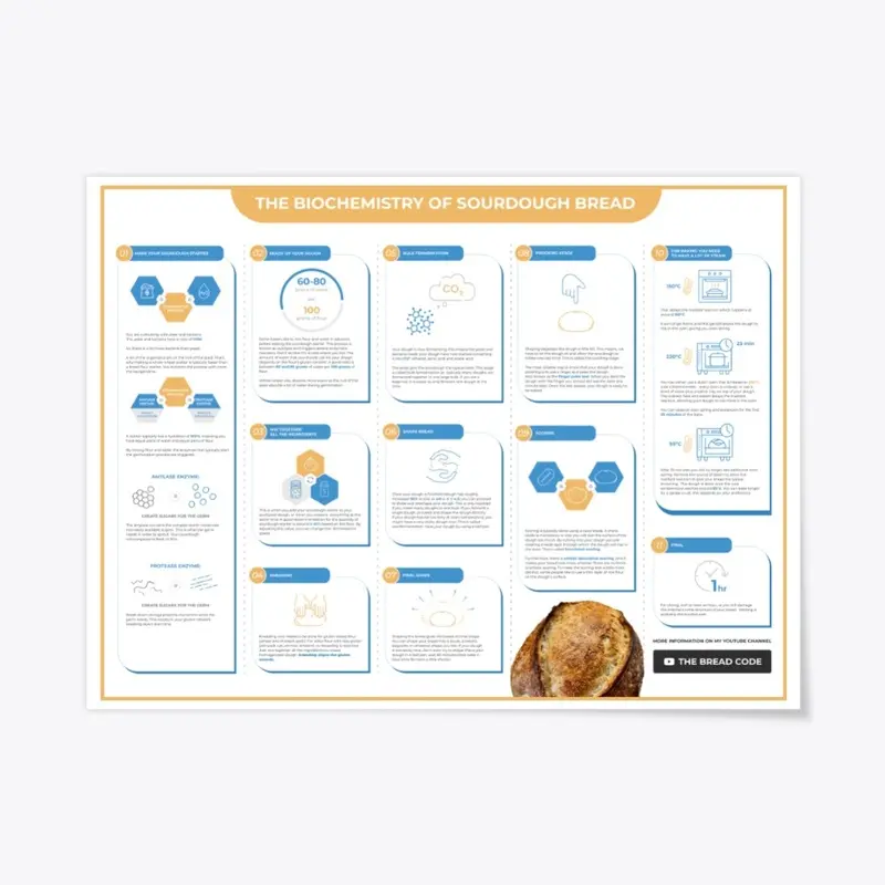 The Biochemistry of Sourdough Bread